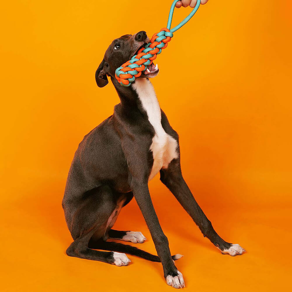 Juego de juguetes de cuerda con nudos para perros - <tc>Color</tc> Choque