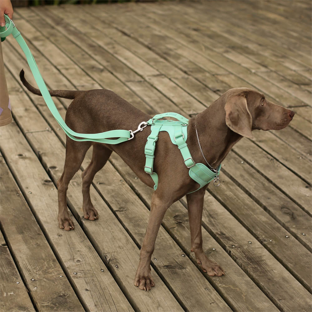 Arnés de perro gomoso