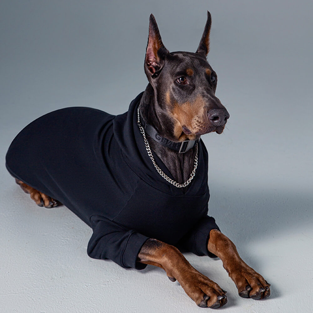 Sudadera con capucha de color sólido para combinar con el perro y su dueño