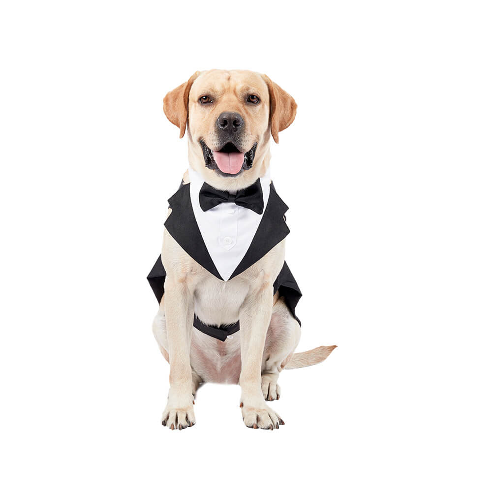 Ropa para perros y mascotas, vestido de traje con pajarita de boda