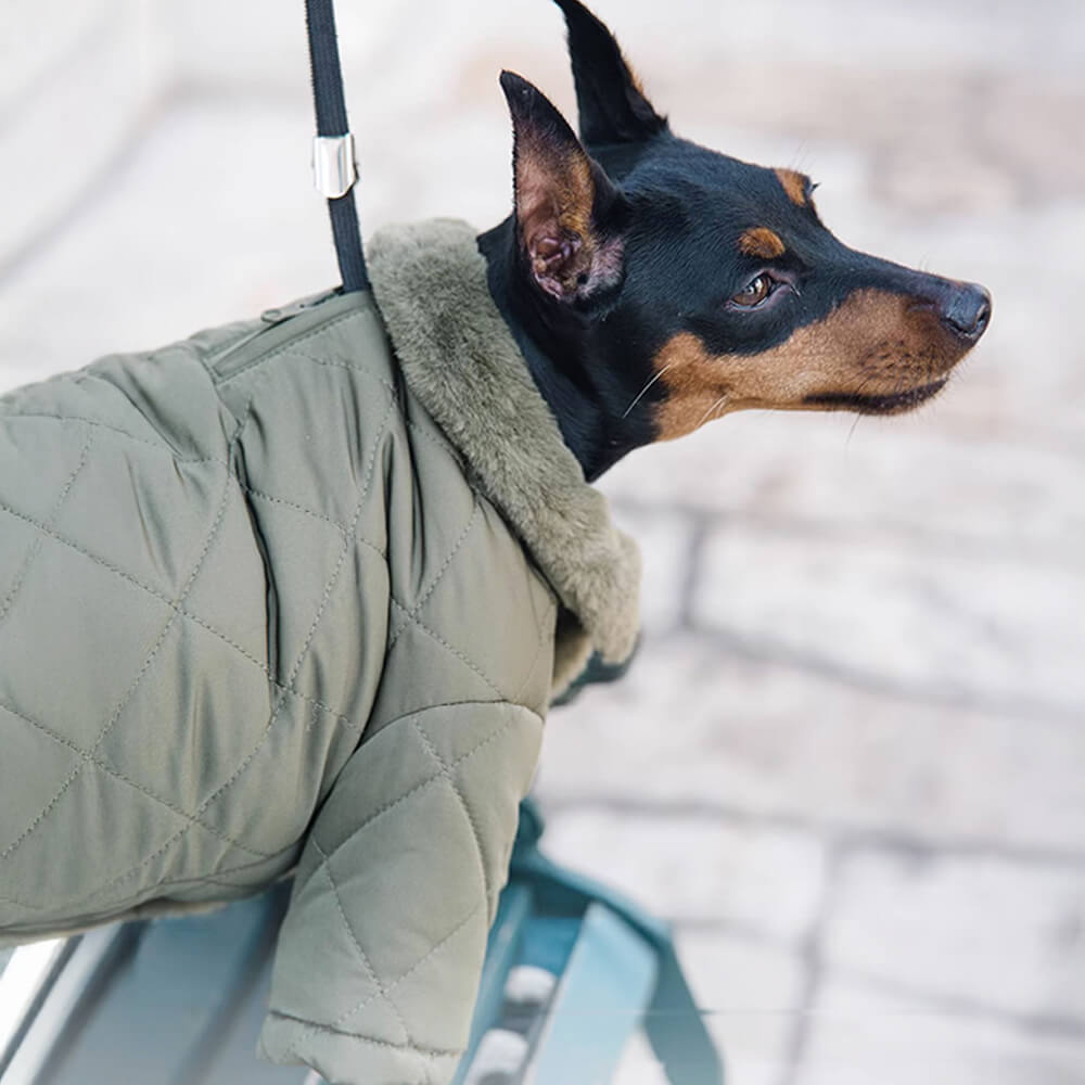 Abrigo para perros con cuello alto y botones a presión de piel sintética, cálido y acogedor