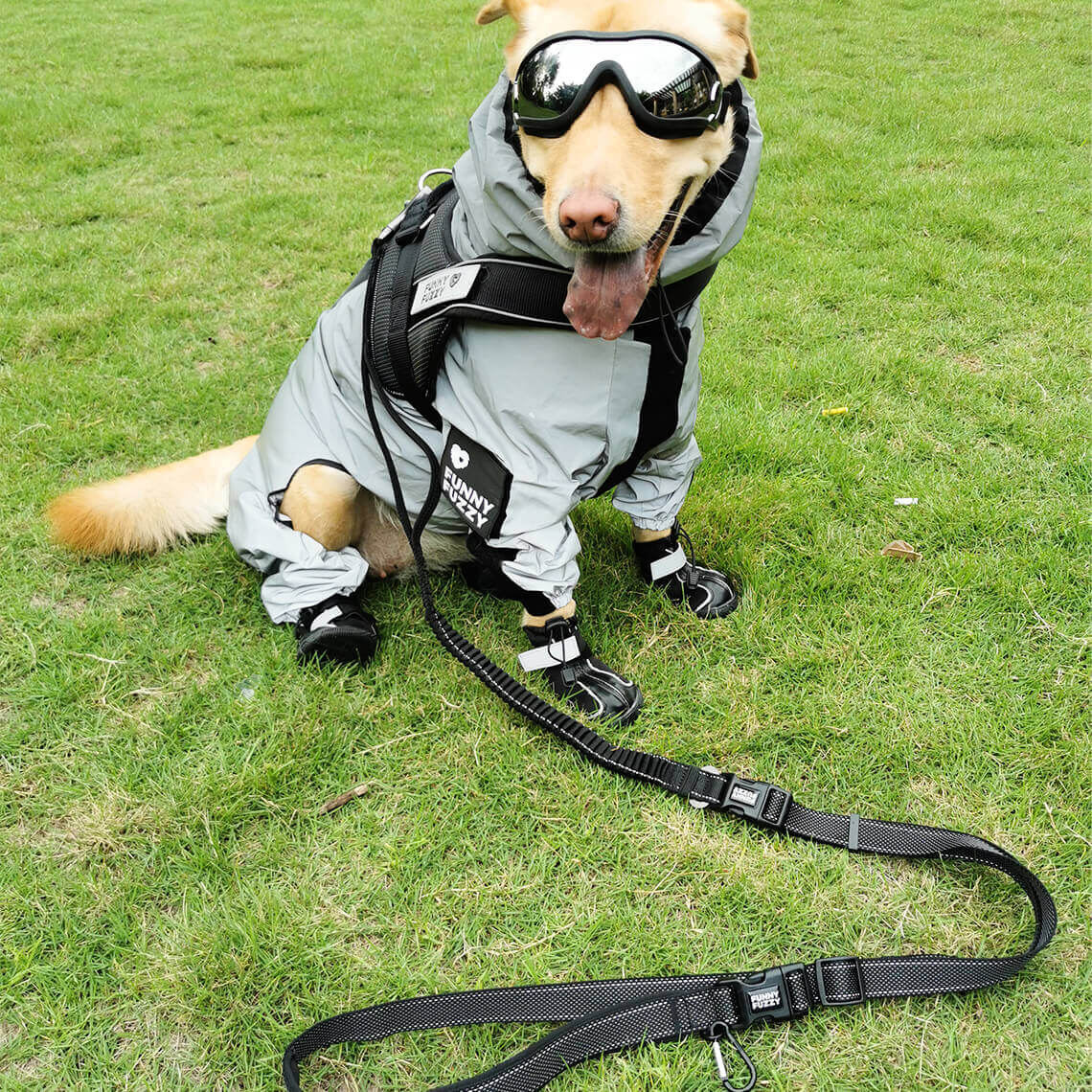 Impermeable Reflectante para Perros para Todo Clima