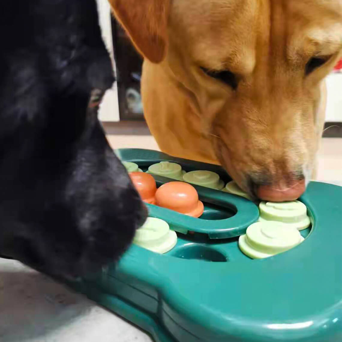 Bandeja de Forrajeo Deslizante para Perros