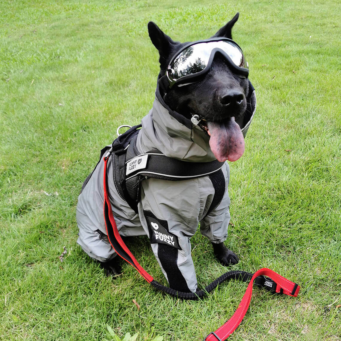 Impermeable Reflectante para Perros para Todo Clima