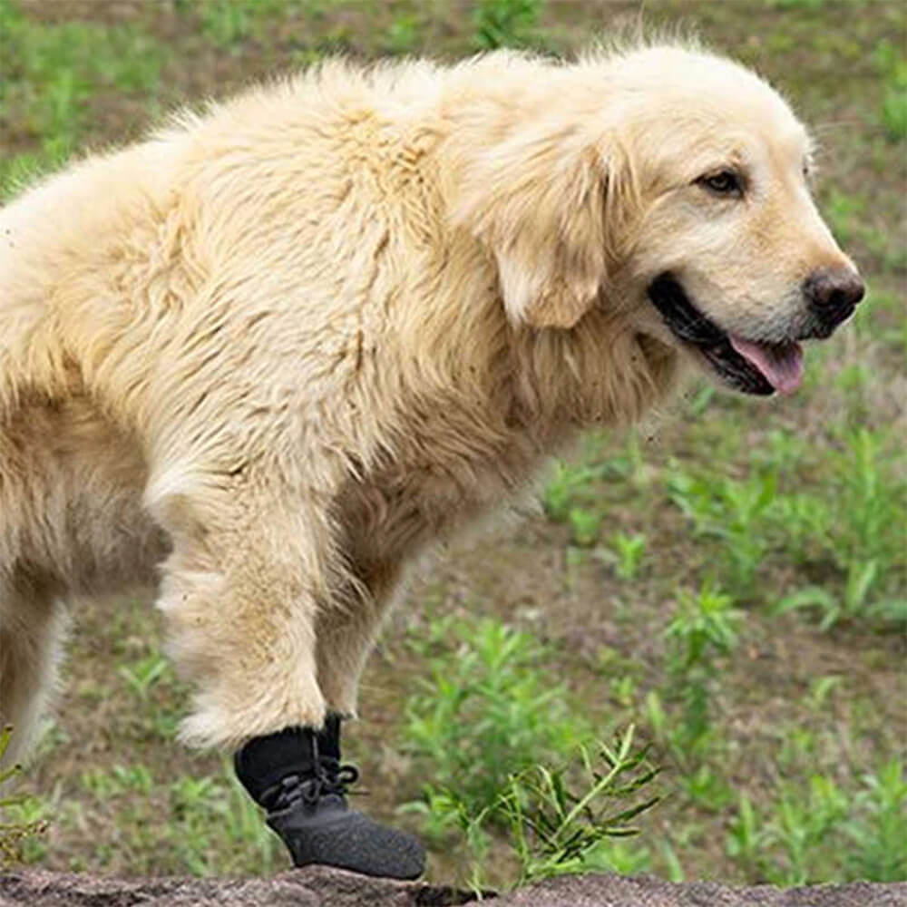 Botas para perros antideslizantes para correr, senderismo, exteriores, impermeables y transpirables