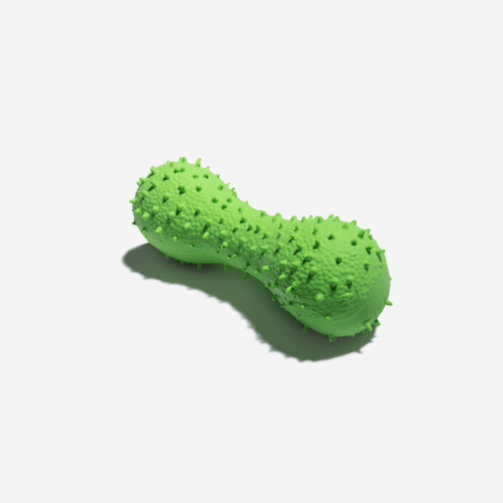 Juguete para perros con forma de cactus y sonido squeaky