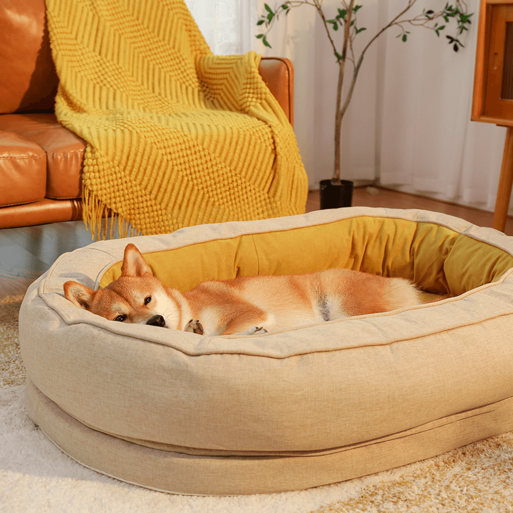 Cama ortopédica esponjosa en forma de rosquilla para perros