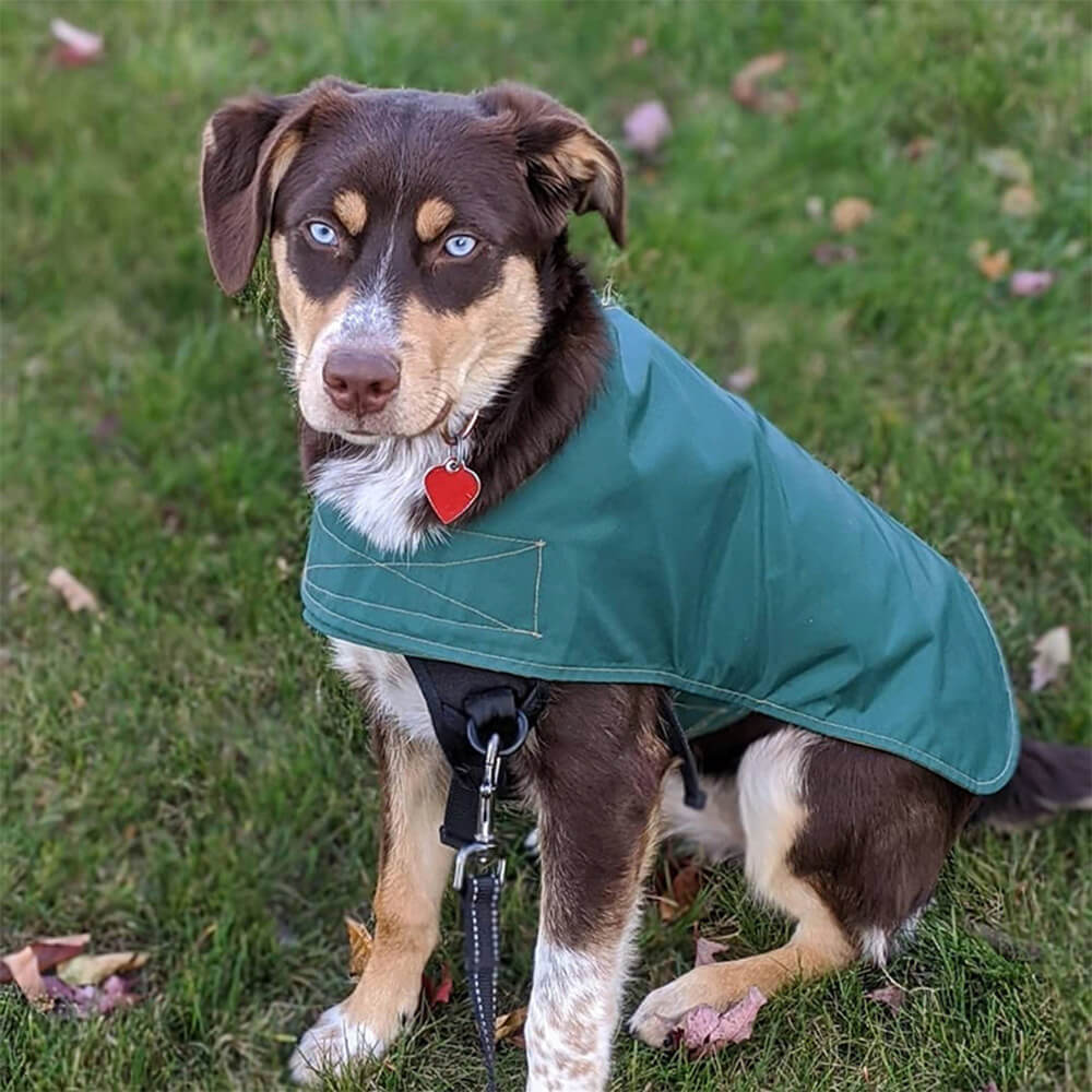 Chubasquero para perros impermeable, ligero y elegante con velcro para exteriores