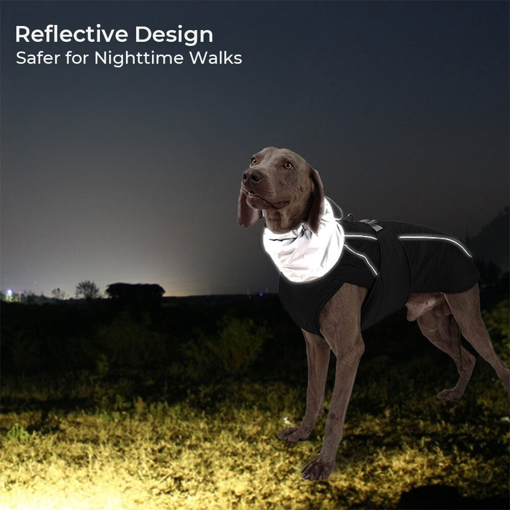 Chaqueta reflectante de perro caliente de cuello alto impermeable