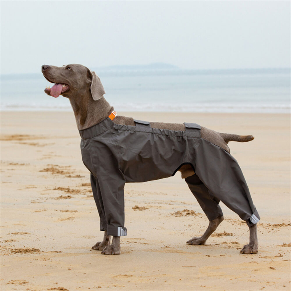 Chubasquero impermeable reflectante para exteriores para perros de cuatro patas con capucha