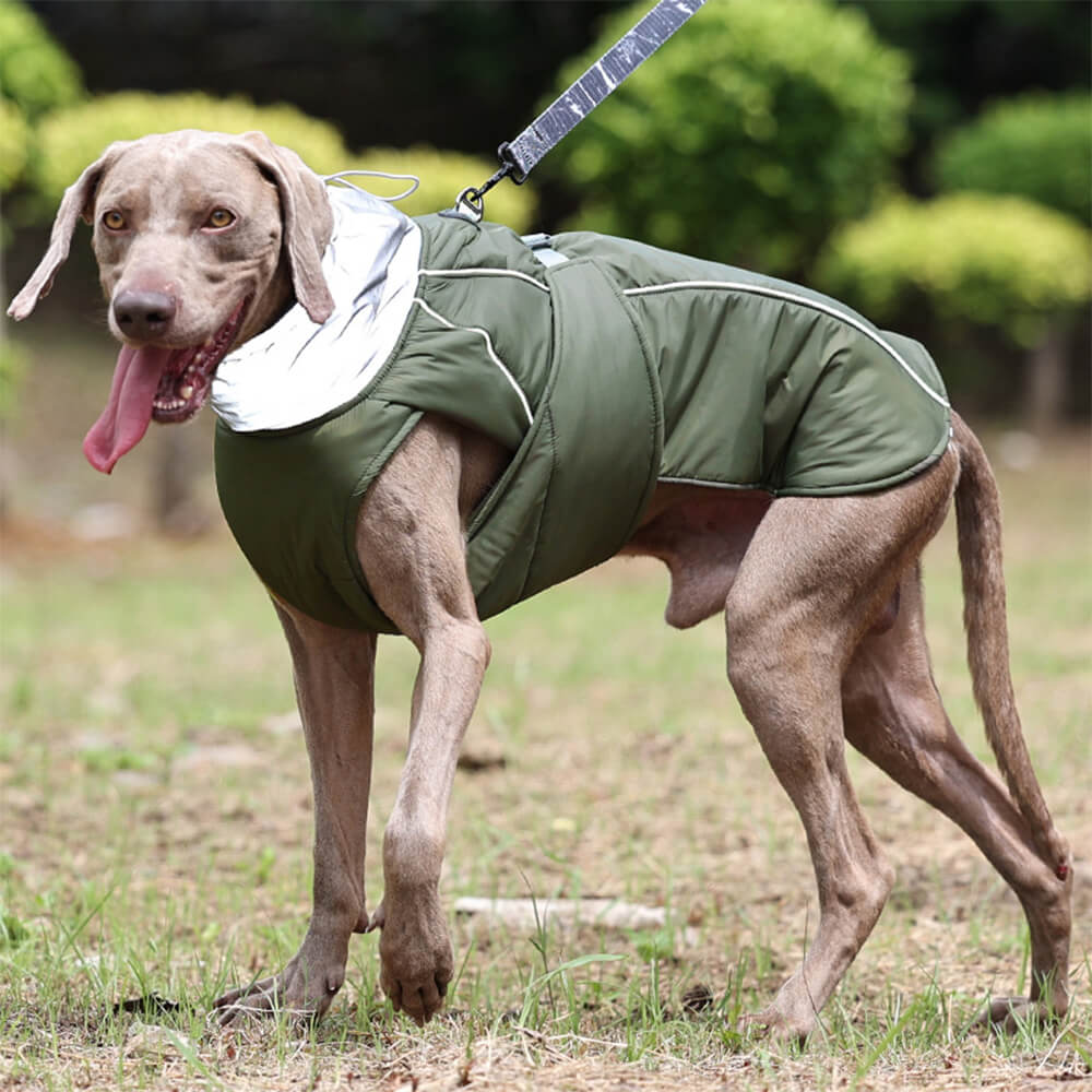 Chaqueta impermeable, cálida, de cuello alto, reflectante, para perros