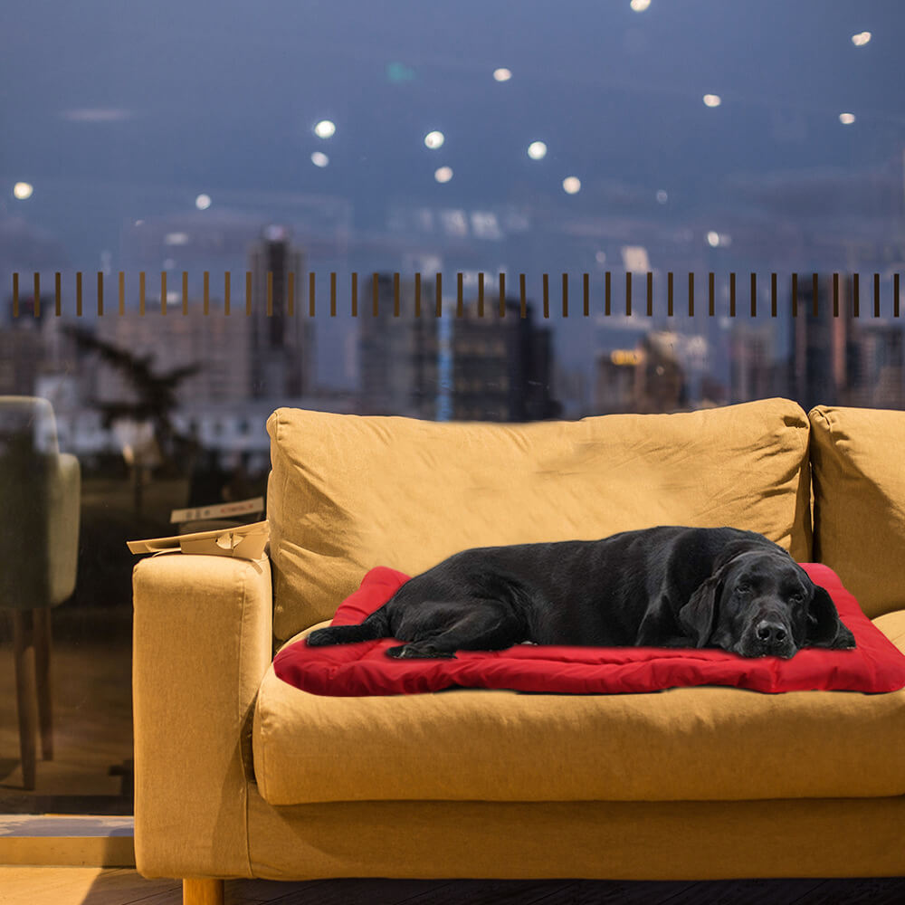 Esterilla de viaje para perros al aire libre, plegable, duradera e impermeable