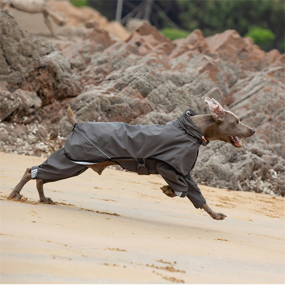 Chubasquero impermeable reflectante para exteriores para perros de cuatro patas con capucha