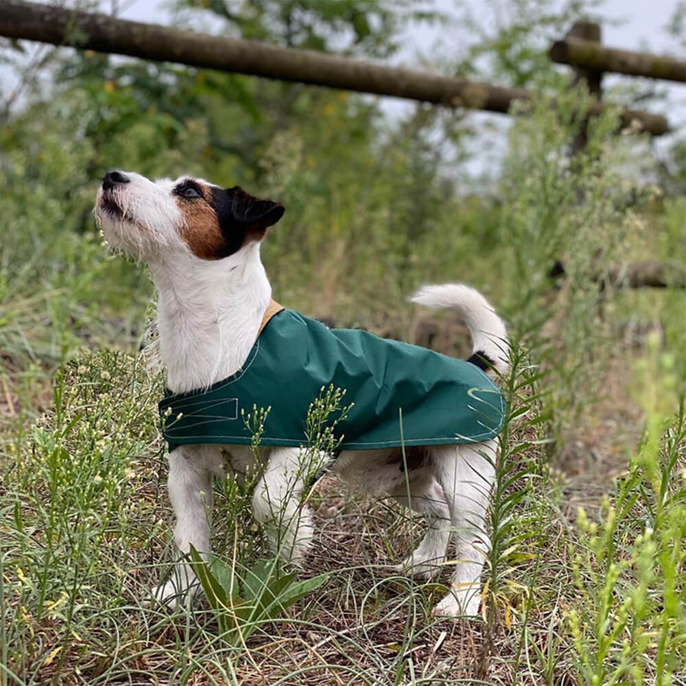 Chubasquero para perros impermeable, ligero y elegante con velcro para exteriores