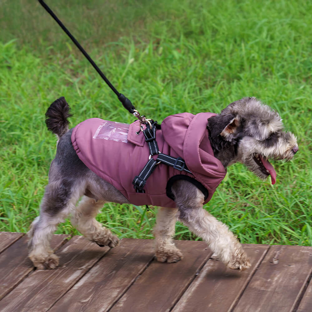 Chaqueta con arnés para perros con capucha, ajustable, con aislamiento y acogedora