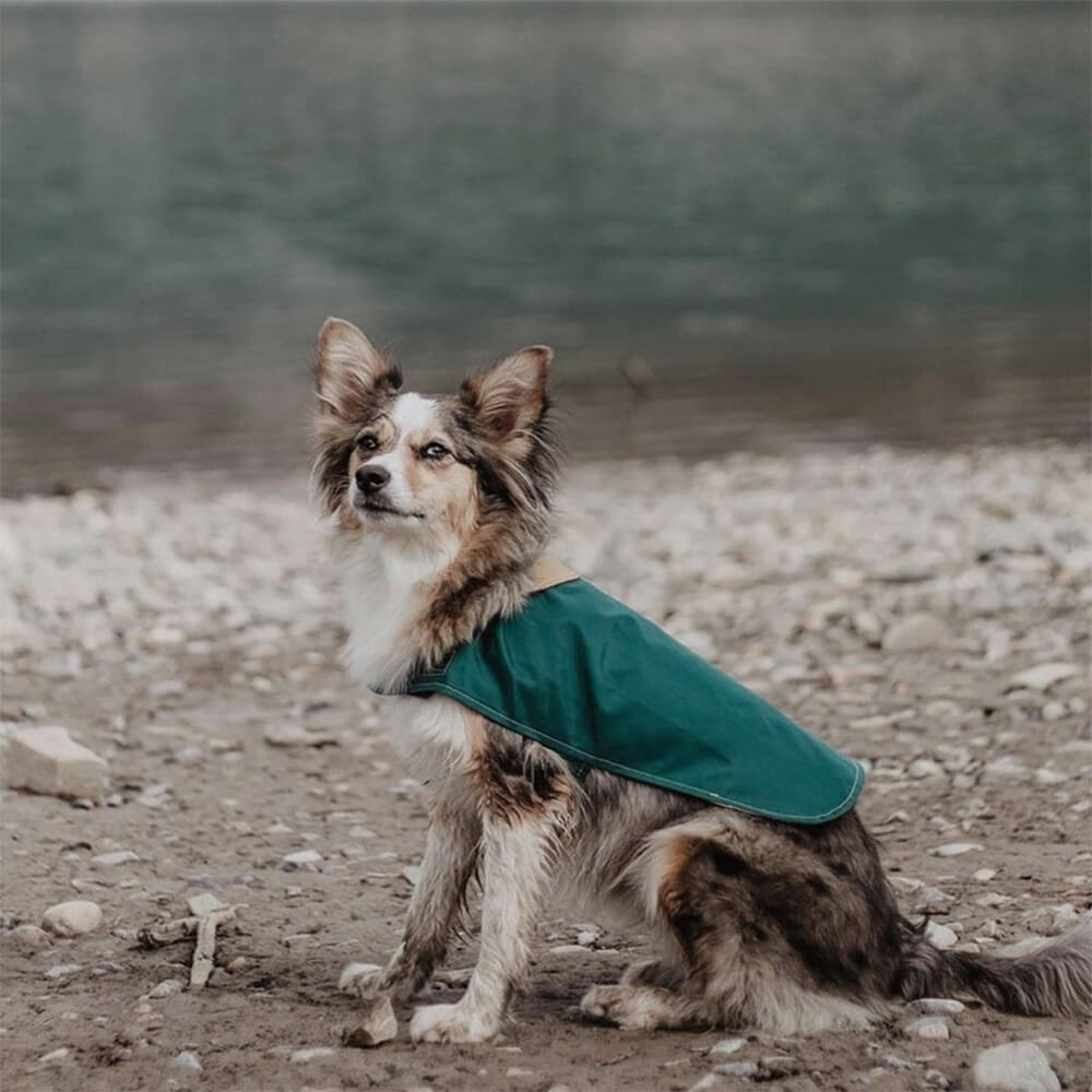 Chubasquero para perros impermeable, ligero y elegante con velcro para exteriores