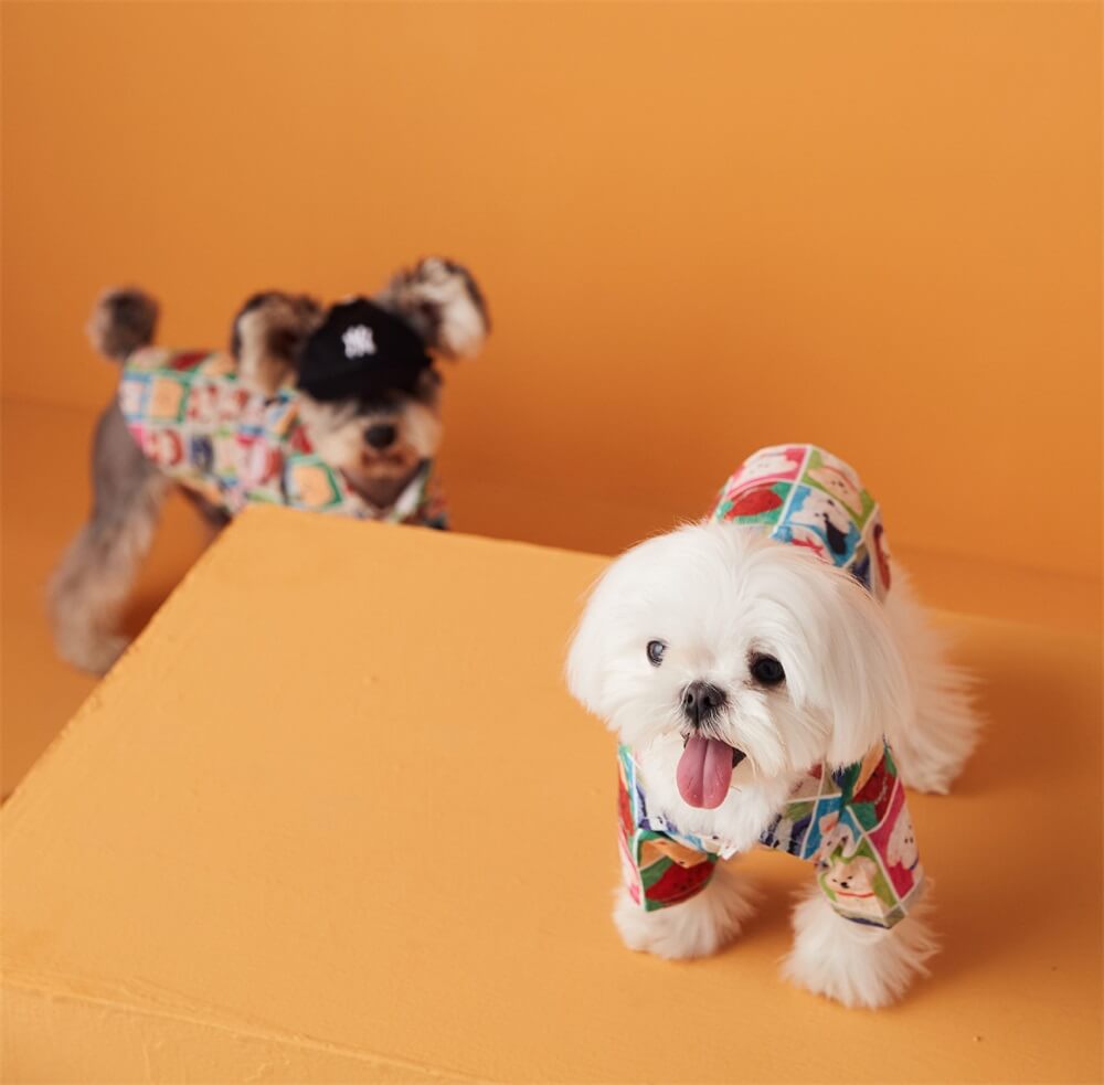 Ropa de cabeza de perro estampada linda de moda de verano para perros para mascotas pequeñas a medianas