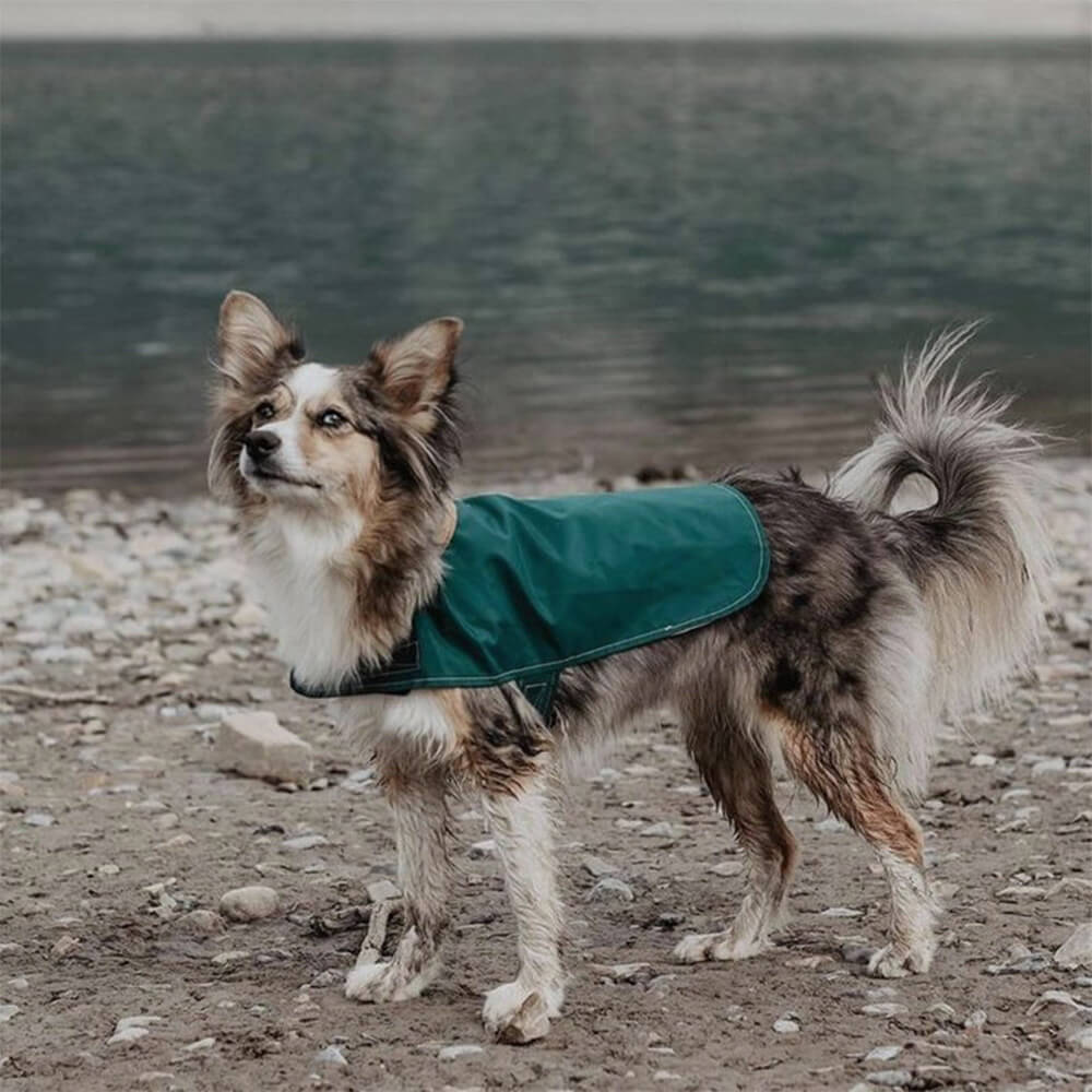 Chubasquero para perros impermeable, ligero y elegante con velcro para exteriores