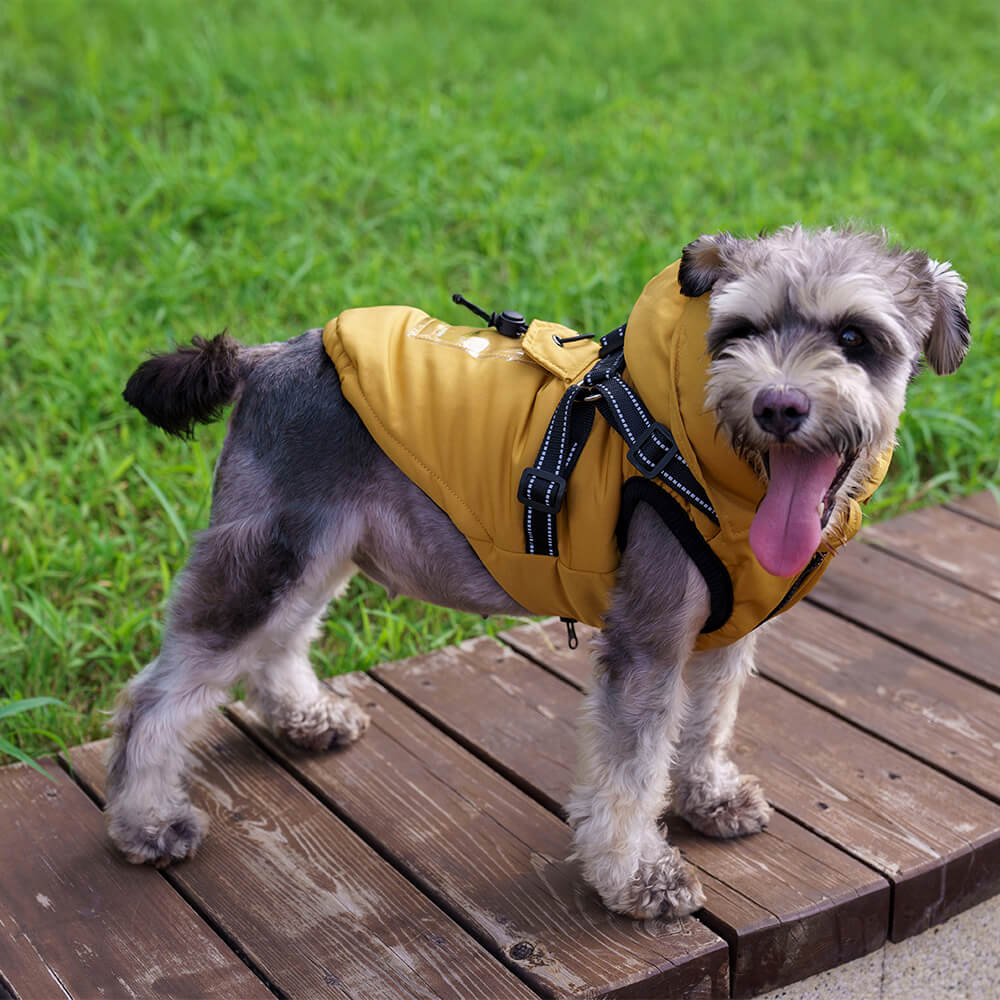 Chaqueta con arnés para perros con capucha, ajustable, con aislamiento y acogedora