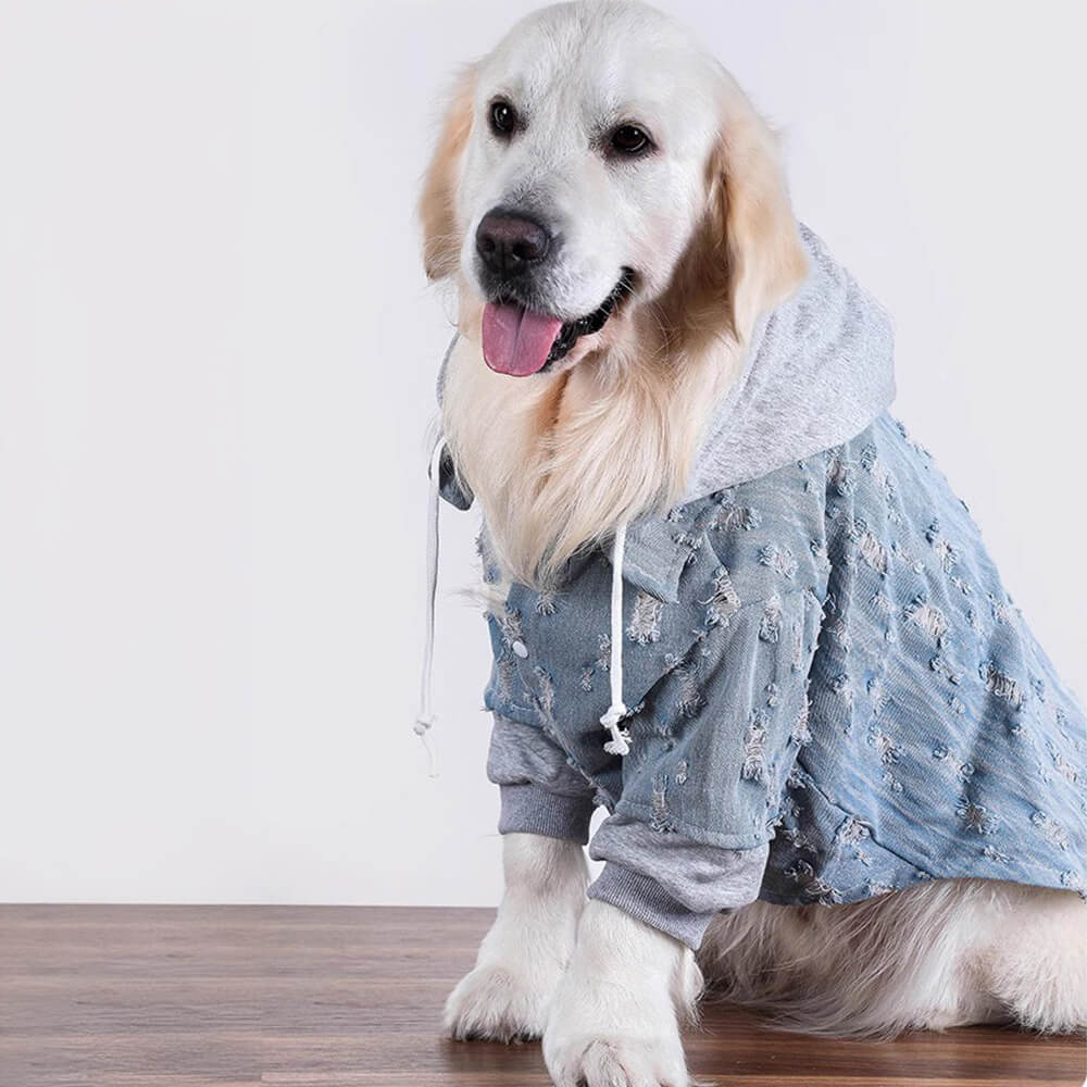 Chaqueta con capucha y camisa de mezclilla rasgada para perro