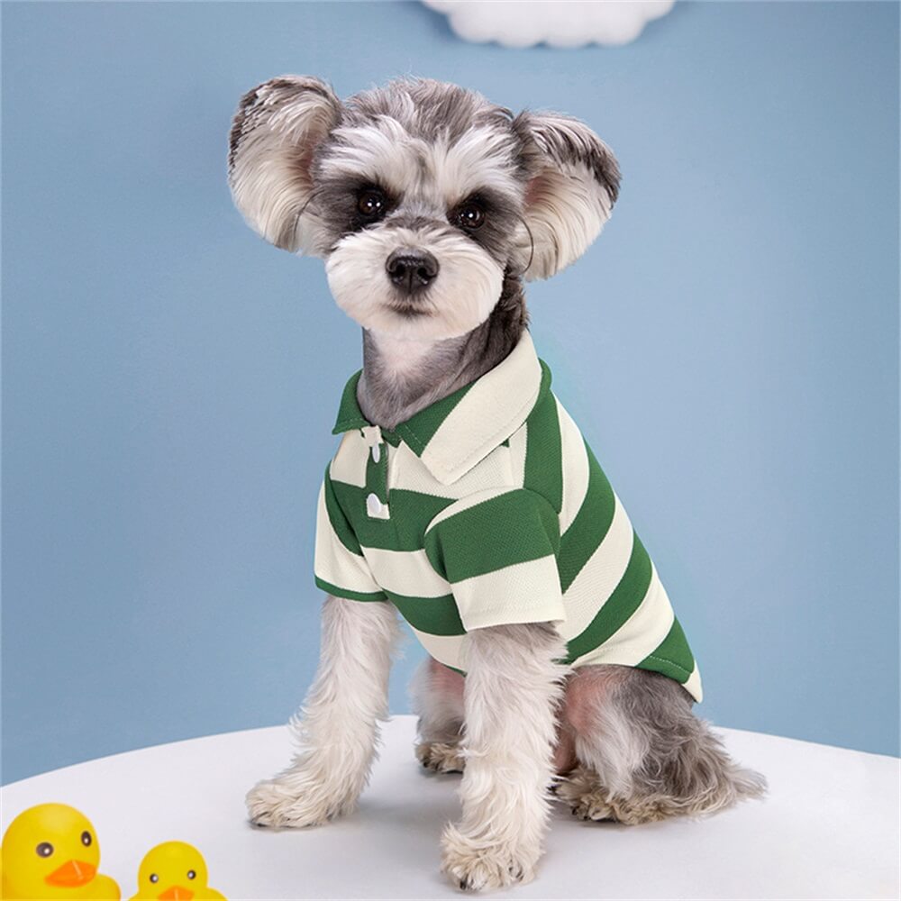 Camisa tipo polo a rayas para perros: estilo clásico para tu cachorro