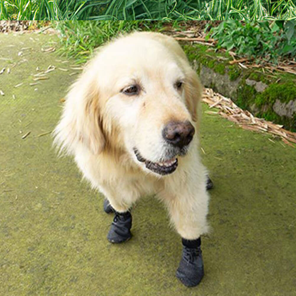 Botas para perros antideslizantes para correr, senderismo, exteriores, impermeables y transpirables