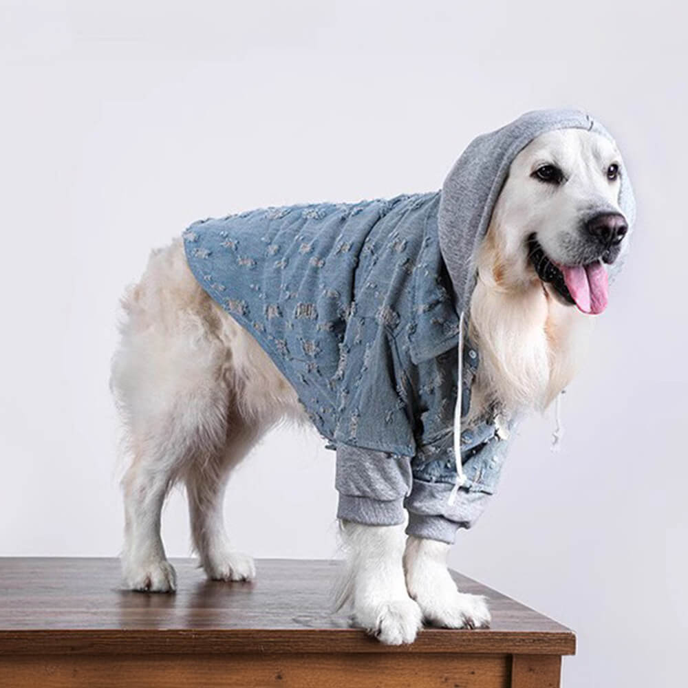 Chaqueta con capucha y camisa de mezclilla rasgada para perro