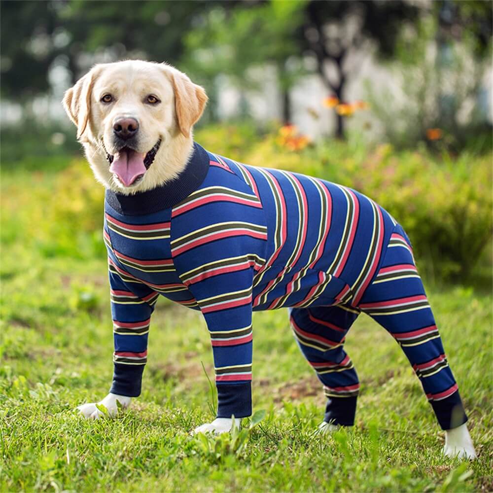 Ropa para perros grandes: pijama de cuatro patas fino y con barriga completa