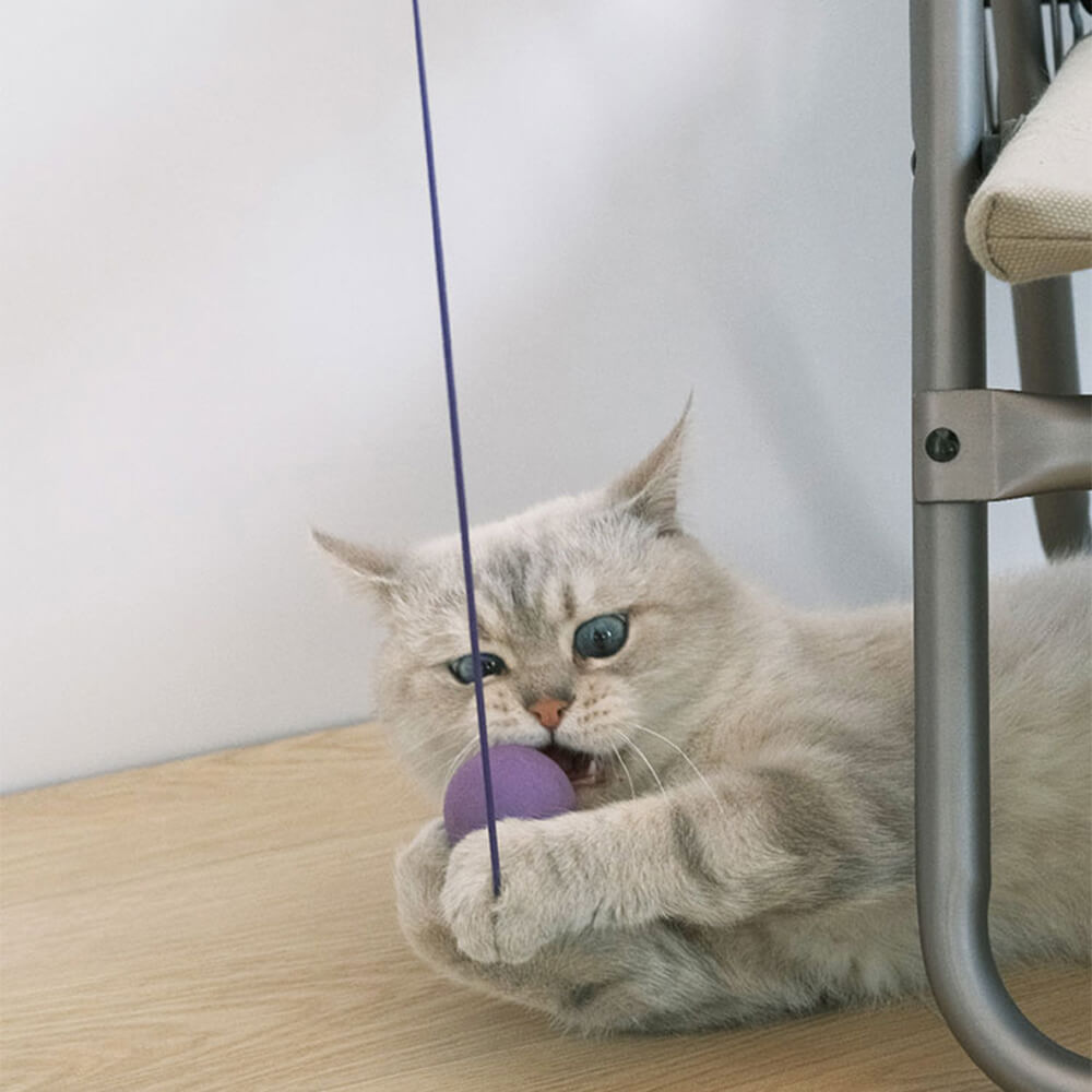 Juguete interactivo para gatos con paleta de ping pong y cuerda elástica