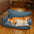 Cama ortopédica para perros de chenilla de temporada completa, con esponja de doble capa y almohada desmontable