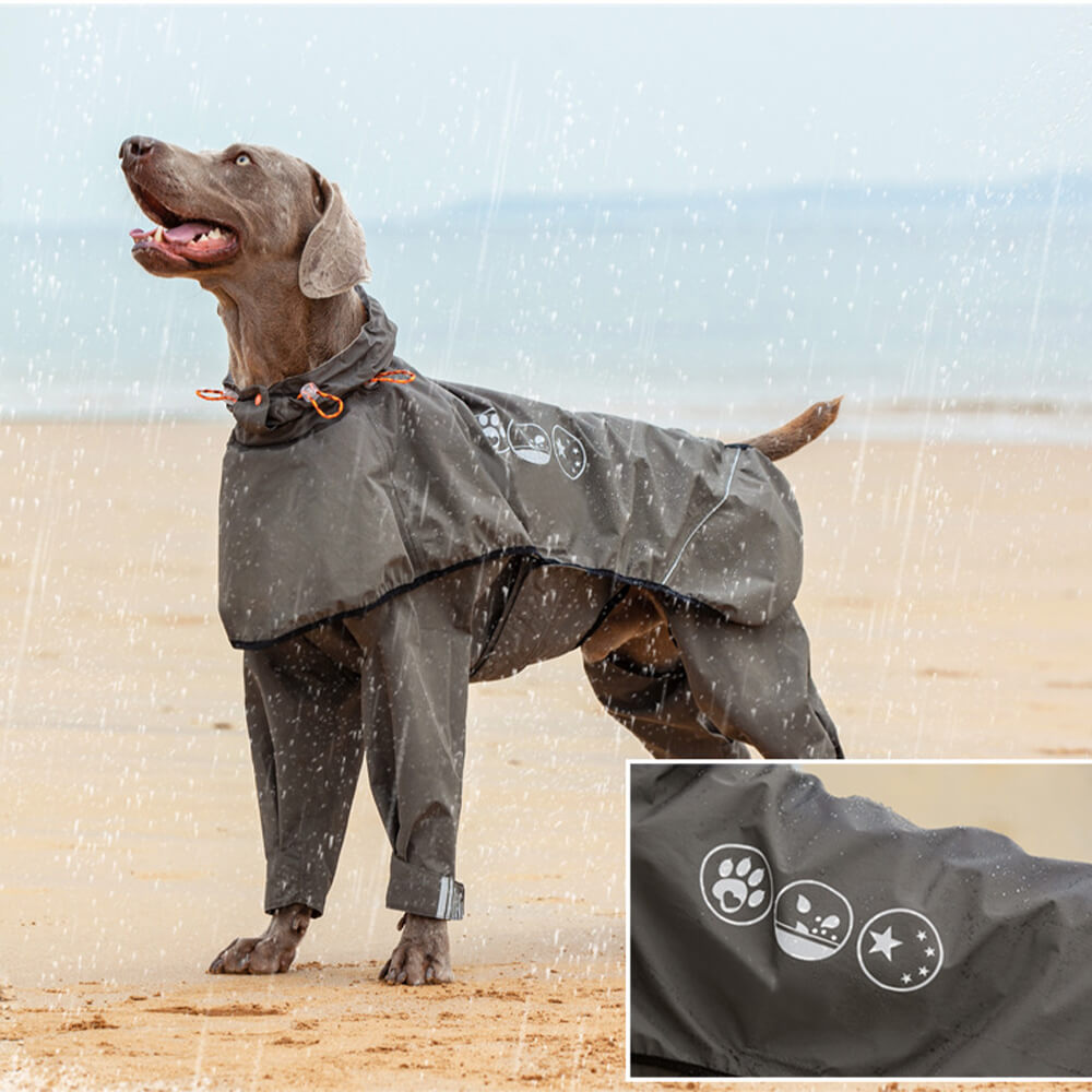 Chubasquero impermeable reflectante para exteriores para perros de cuatro patas con capucha