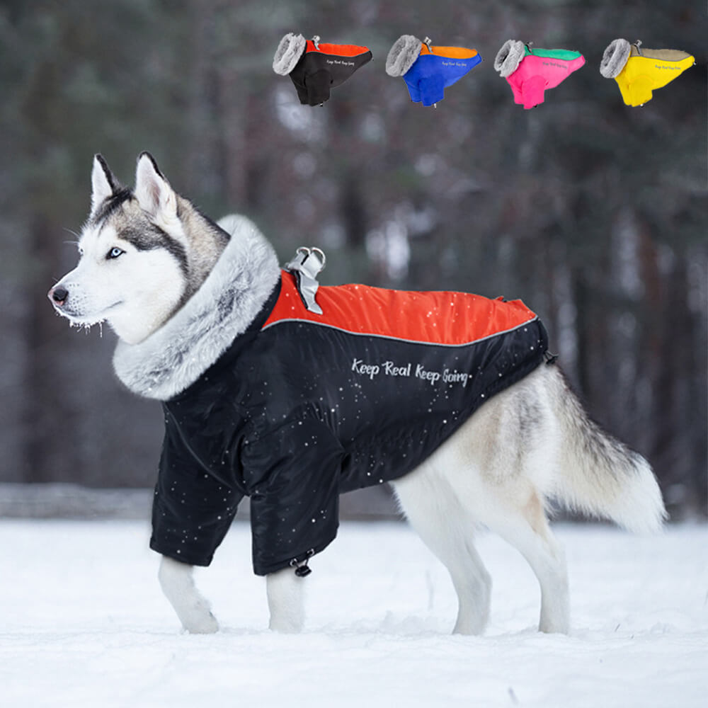 Abrigo de invierno impermeable para perros con cuello de piel: máxima calidez y estilo