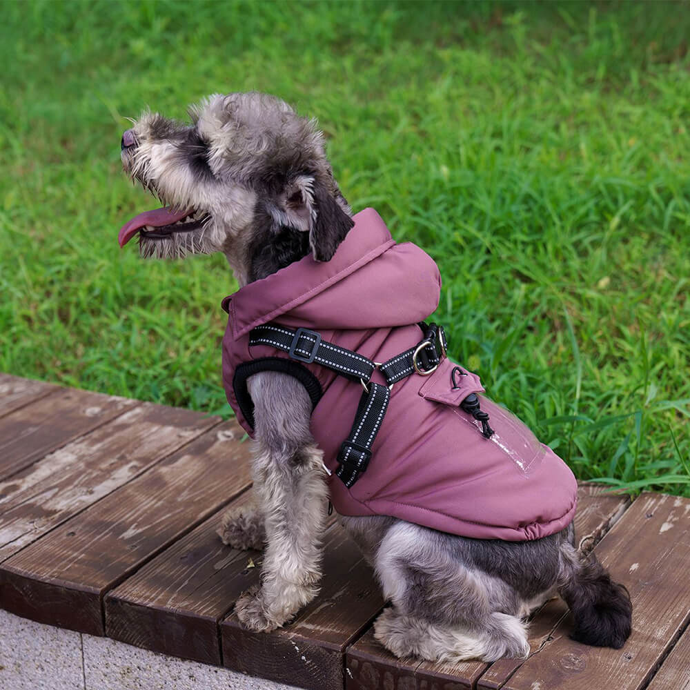 Chaqueta con arnés para perros con capucha, ajustable, con aislamiento y acogedora