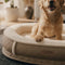 Deluxe Faux Leather & Plush Removable Orthopedic Donut Dog Bed - WarmNest
