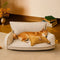 CHENILLE DE CHENILLE CHENILLE Doble capa extraíble Cama de perros ortopédica con almohada