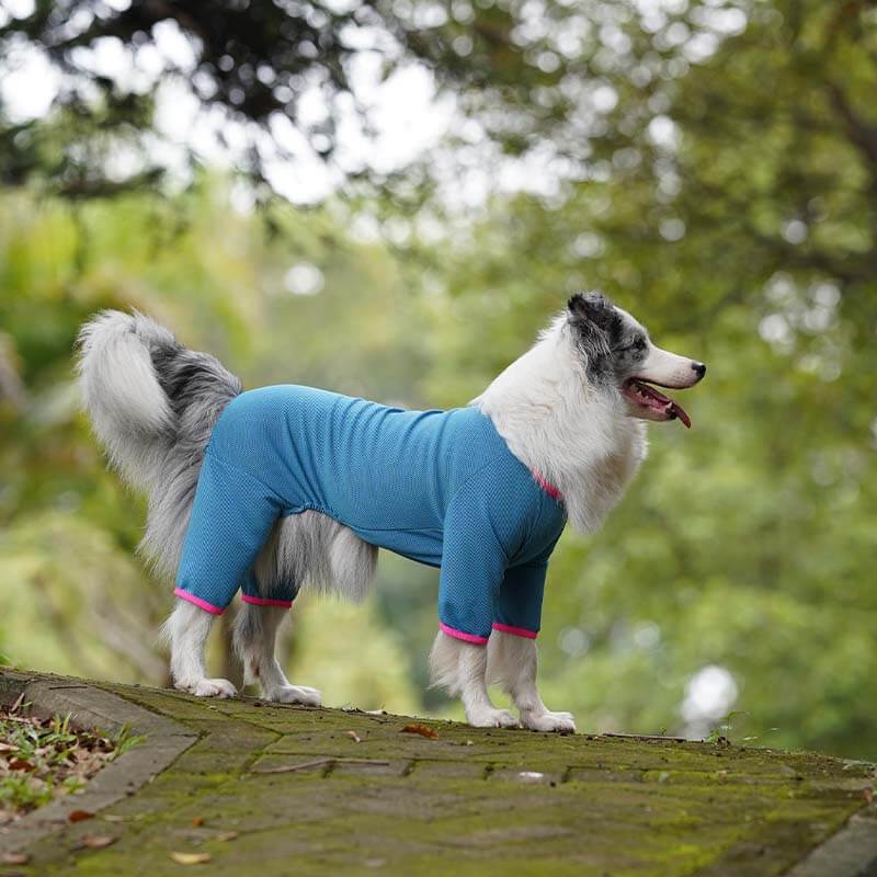 Camisas para perros de cuatro patas de secado rápido Chaleco refrescante para perros