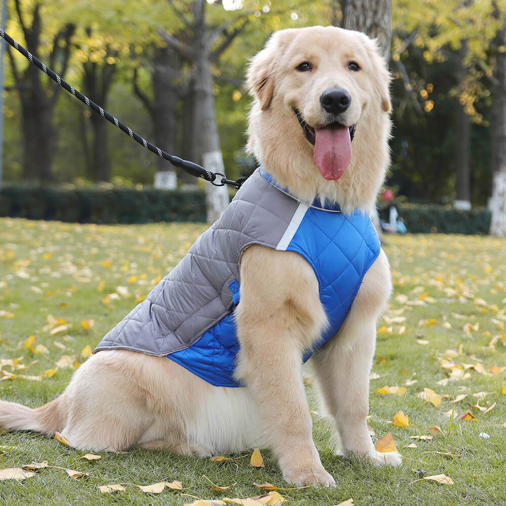 Chaqueta acolchada ajustable para perros: cálida y segura para paseos invernales