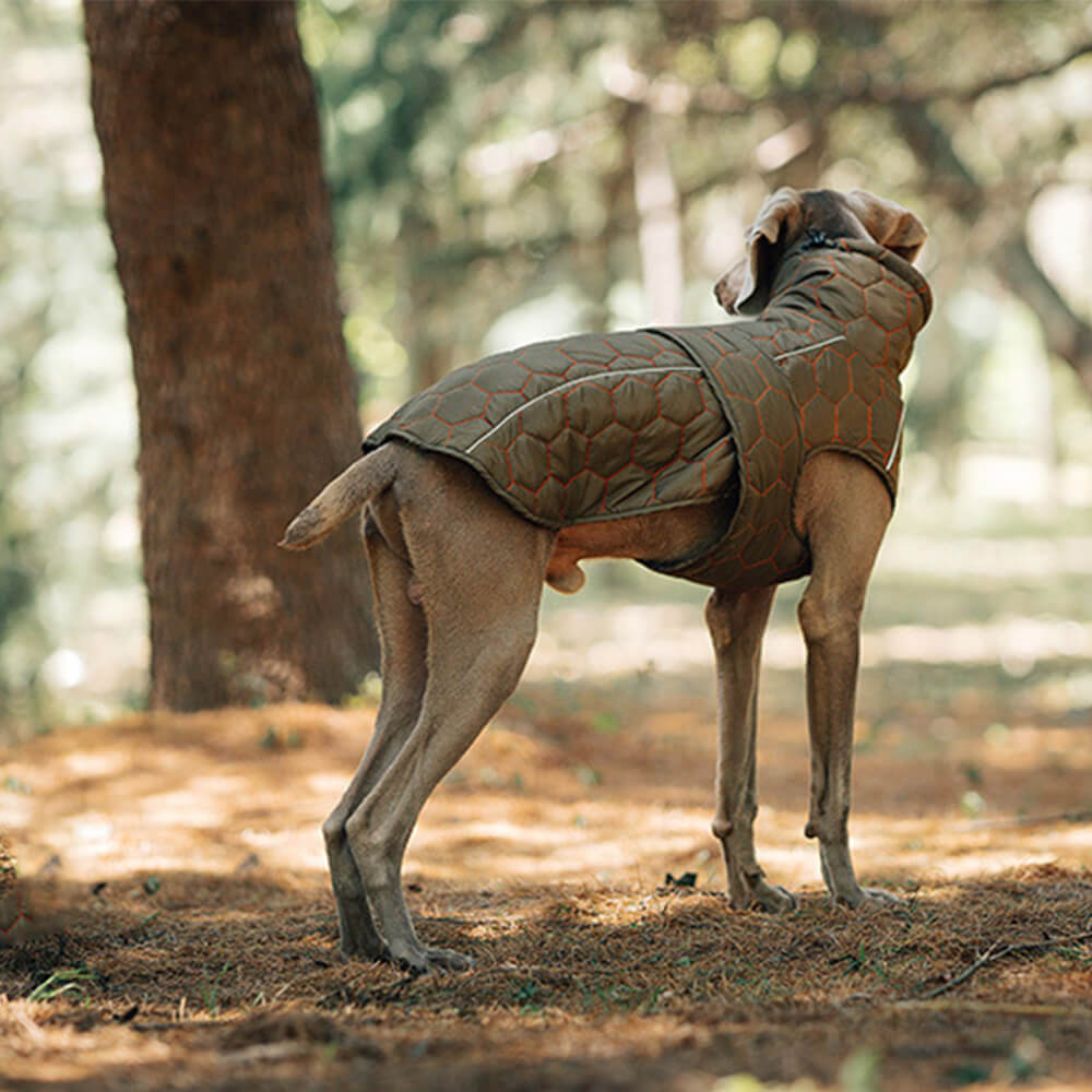 Chaleco acolchado para perros para exteriores: cálido y duradero para caminatas y aventuras