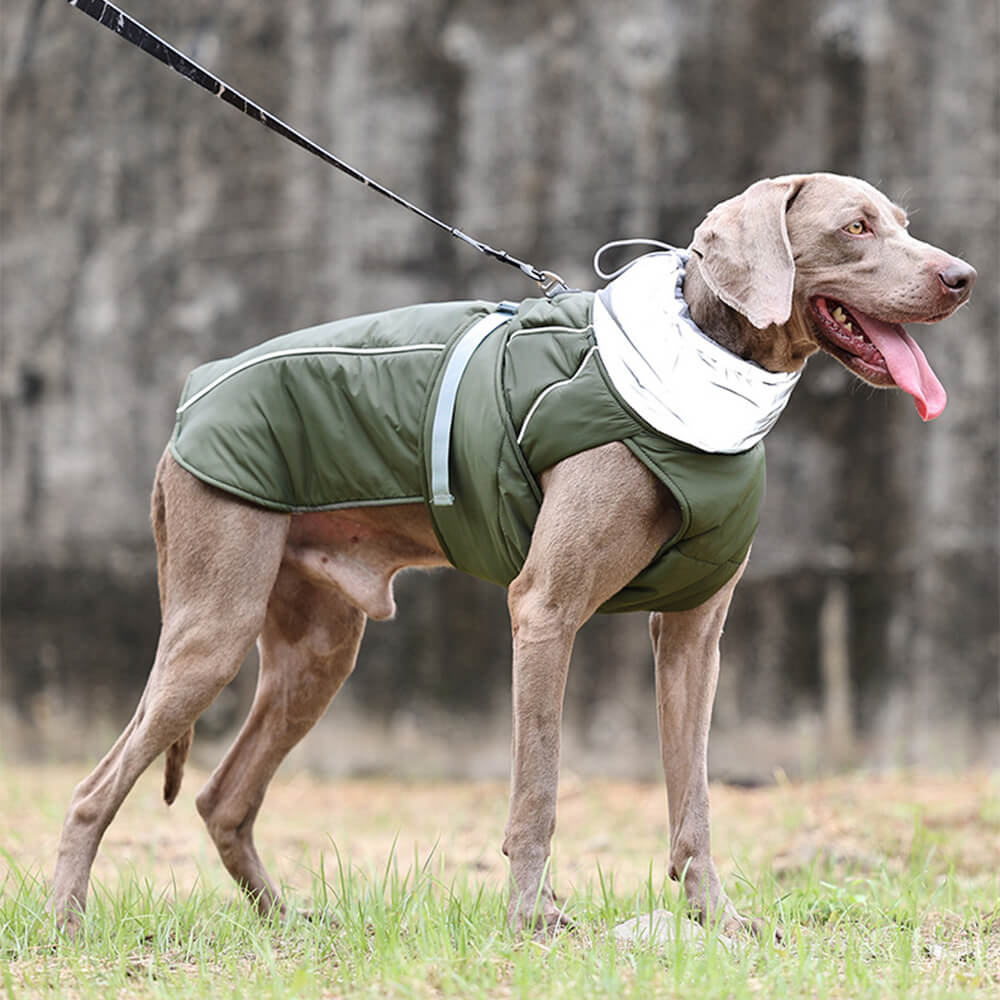 Chaqueta impermeable, cálida, de cuello alto, reflectante, para perros