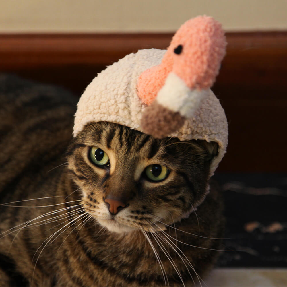 Disfraz de Halloween de murciélago, flamenco, unicornio y sombrero para mascota