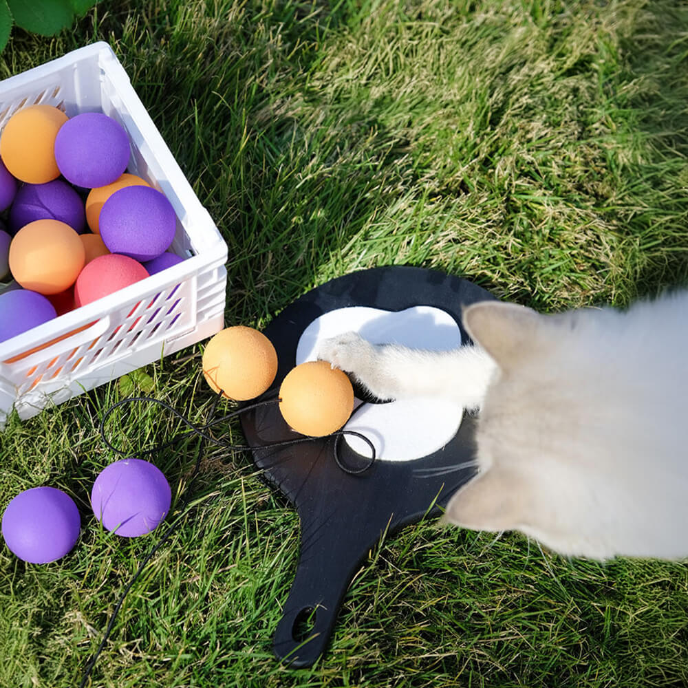 Juguete interactivo para gatos con paleta de ping pong y cuerda elástica