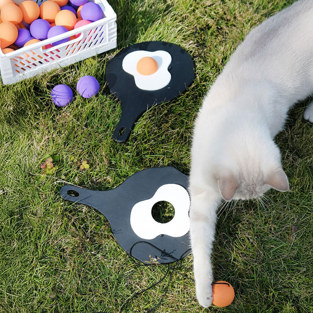 Juguete interactivo para gatos con paleta de ping pong y cuerda elástica