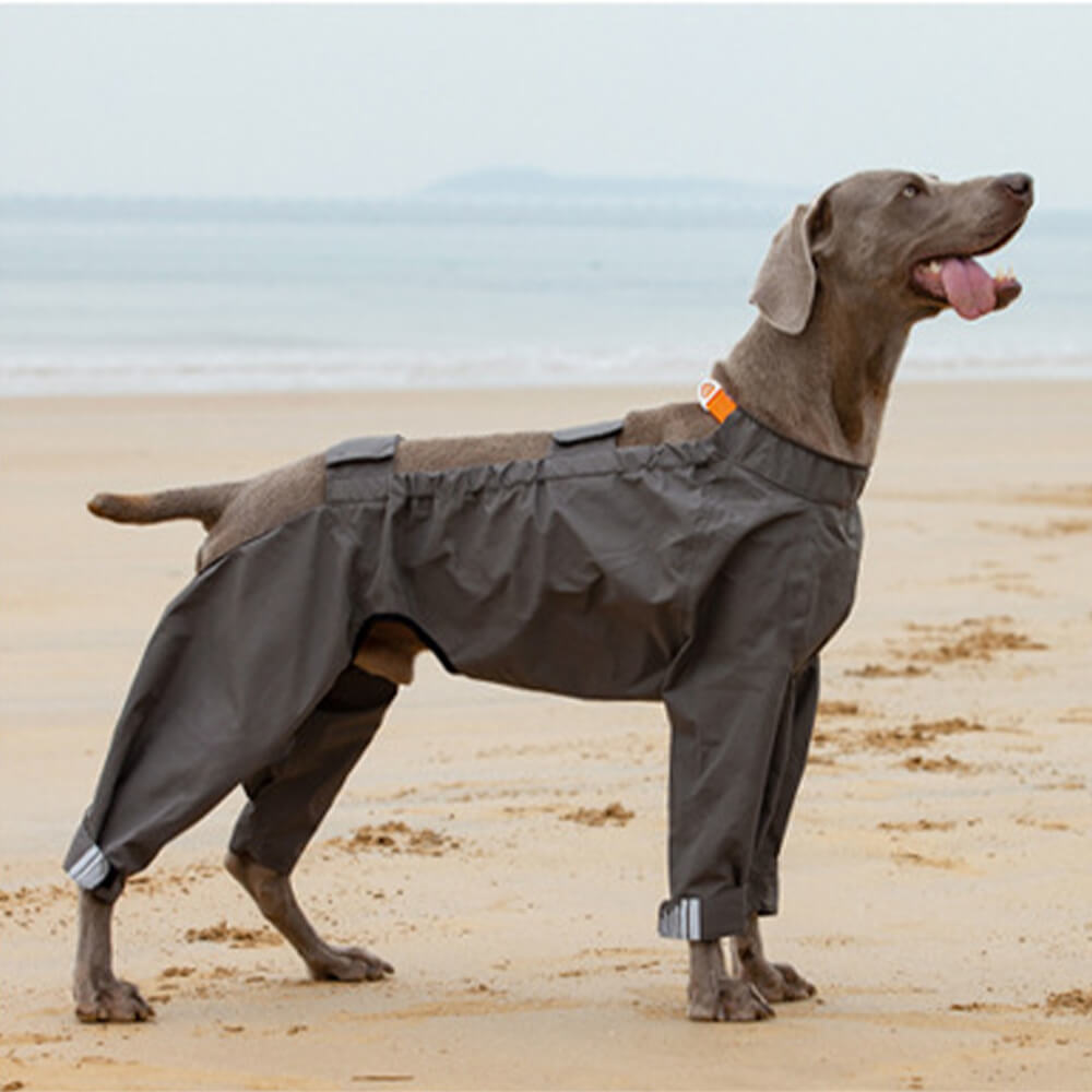 Chubasquero impermeable reflectante para exteriores para perros de cuatro patas con capucha