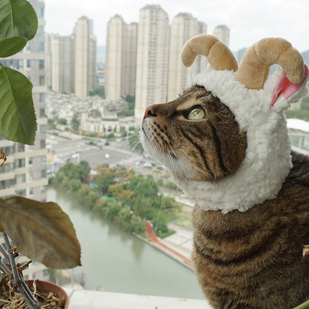 Disfraz de Halloween de murciélago, flamenco, unicornio y sombrero para mascota