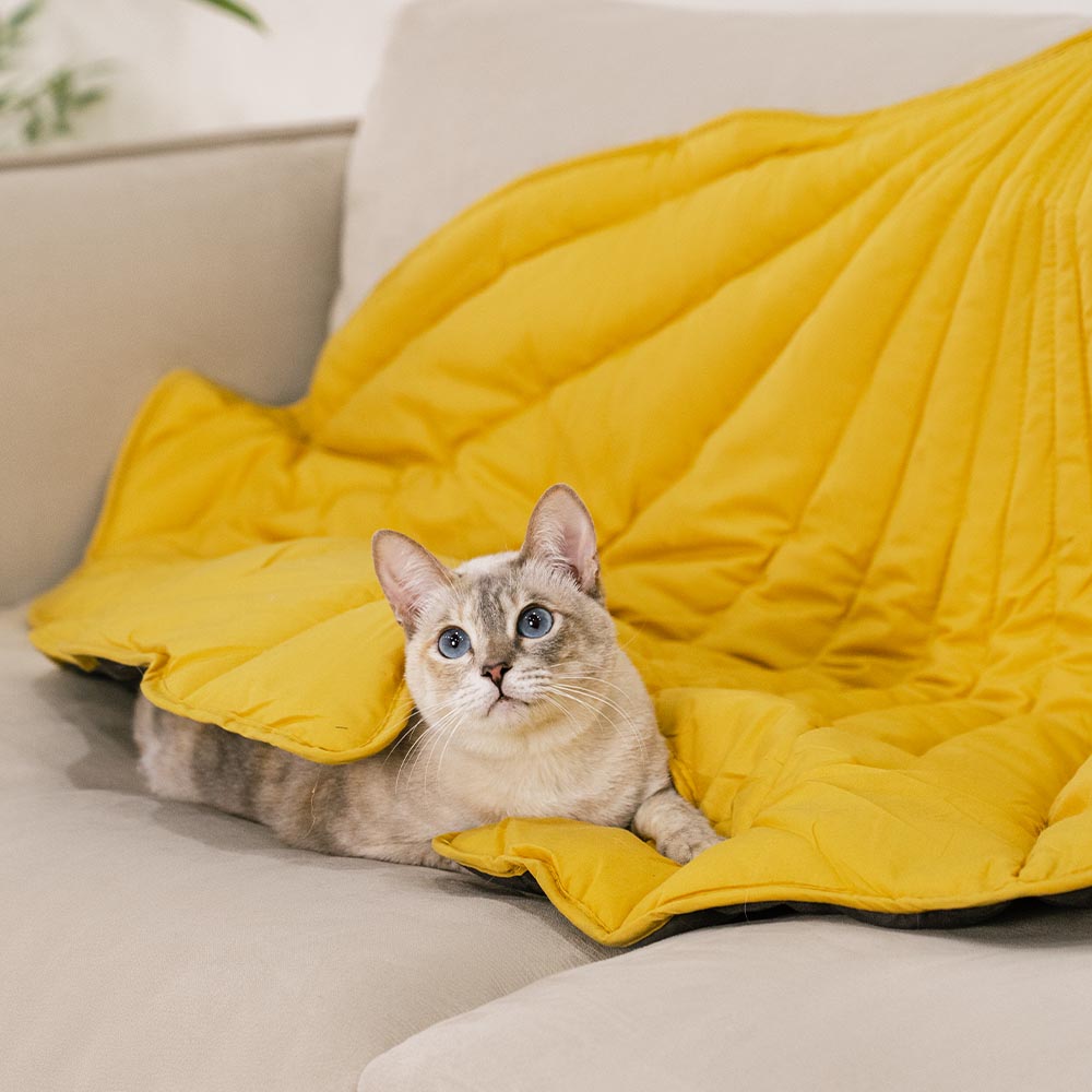 Protector de muebles lavable para todas las estaciones, mantas para camas de gatos