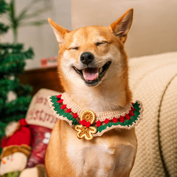 Christmas Santa Claus Buffes de punto de punto para mascota y propietario