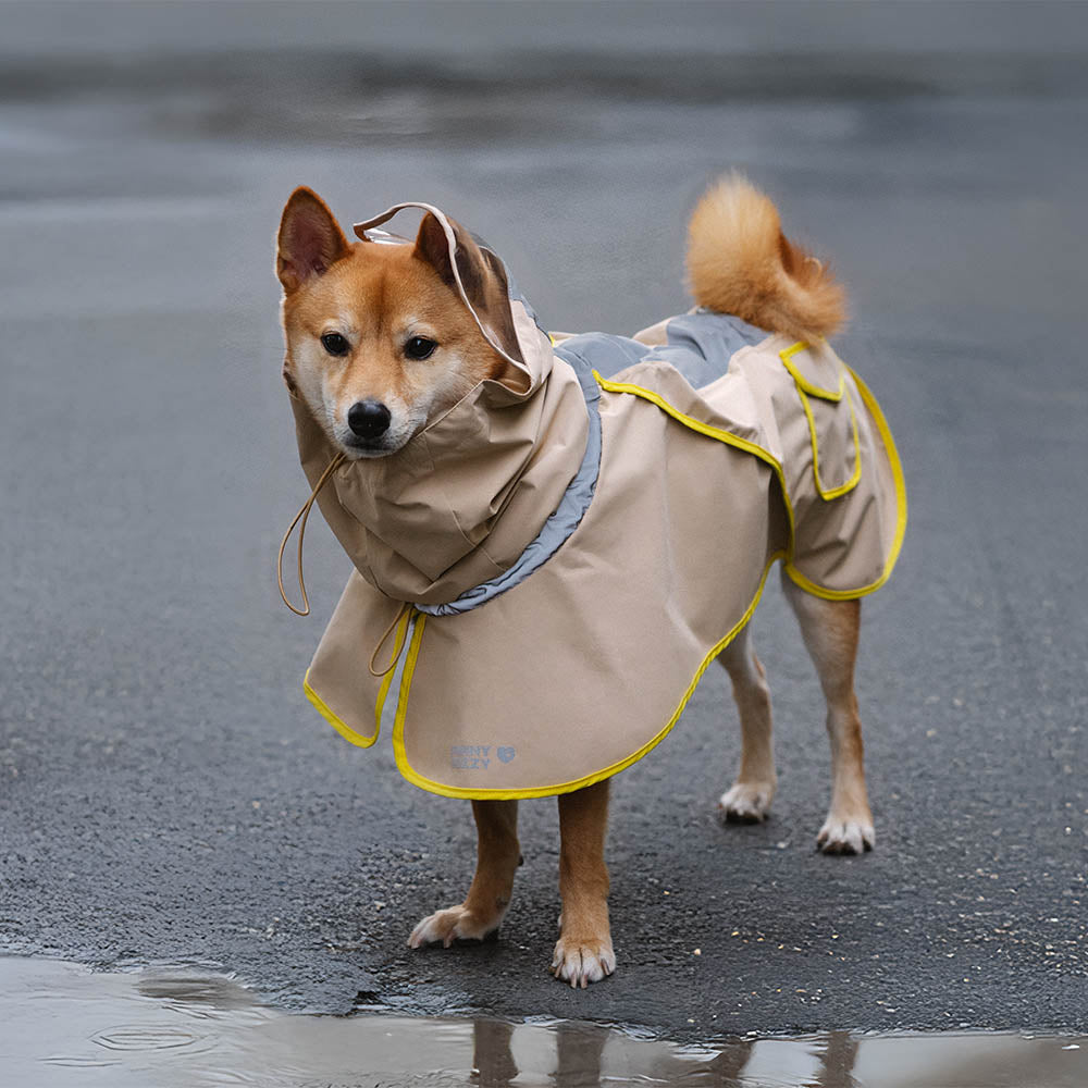 Impermeable reflectante ajustable con bolsillo para perros y humanos a juego: manténgase seco