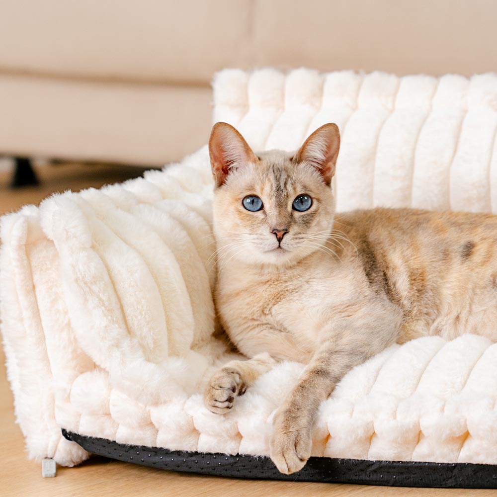 Cama para gatos con cojín suave y lavable Snoozy Dream