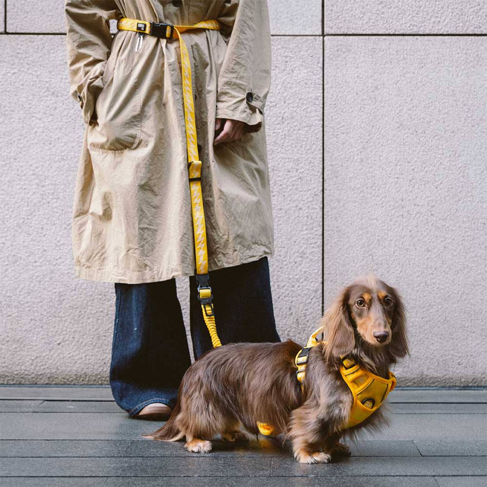 Correas de nailon para perros grandes, con asa suave, ajustables, reflectantes y de doble cara - Flexi Walker