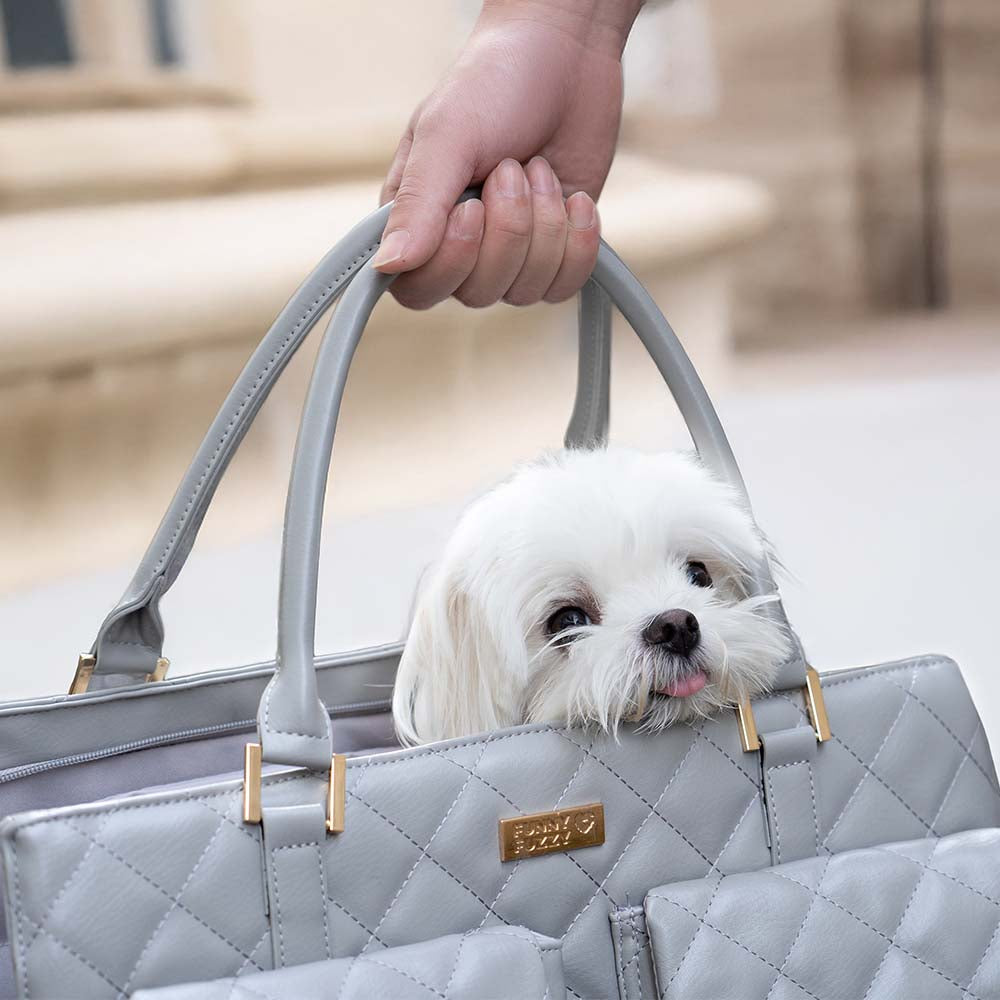 Largante de transporte grande y elegante Bolsa de mascotas de viajes humanos multifuncionales-Tail errante